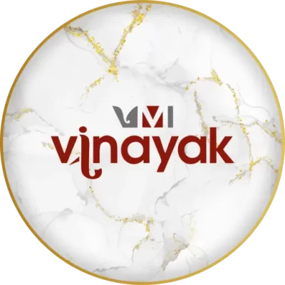 Vinayak Stonex Logo